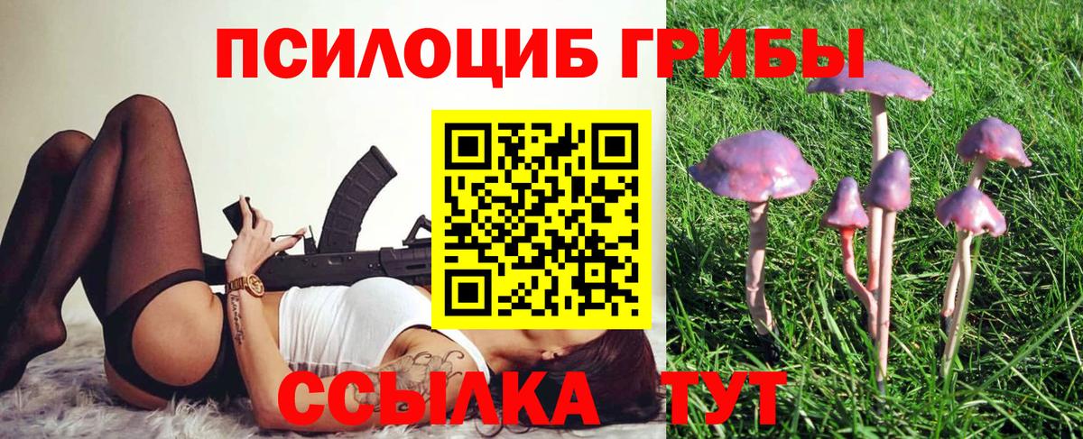 Псилоцибиновые грибы Cubensis  Вход с VPN  Благодарный  Псилоцибиновые грибы Psilocybe 